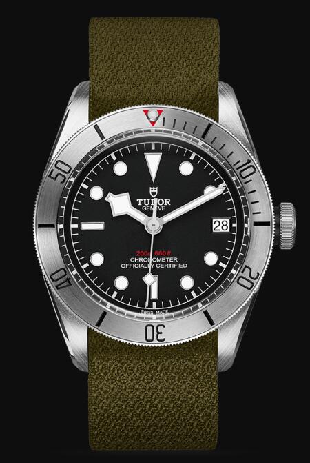 Tudor BLACK BAY STEEL M79730-0004 Replica Watch
